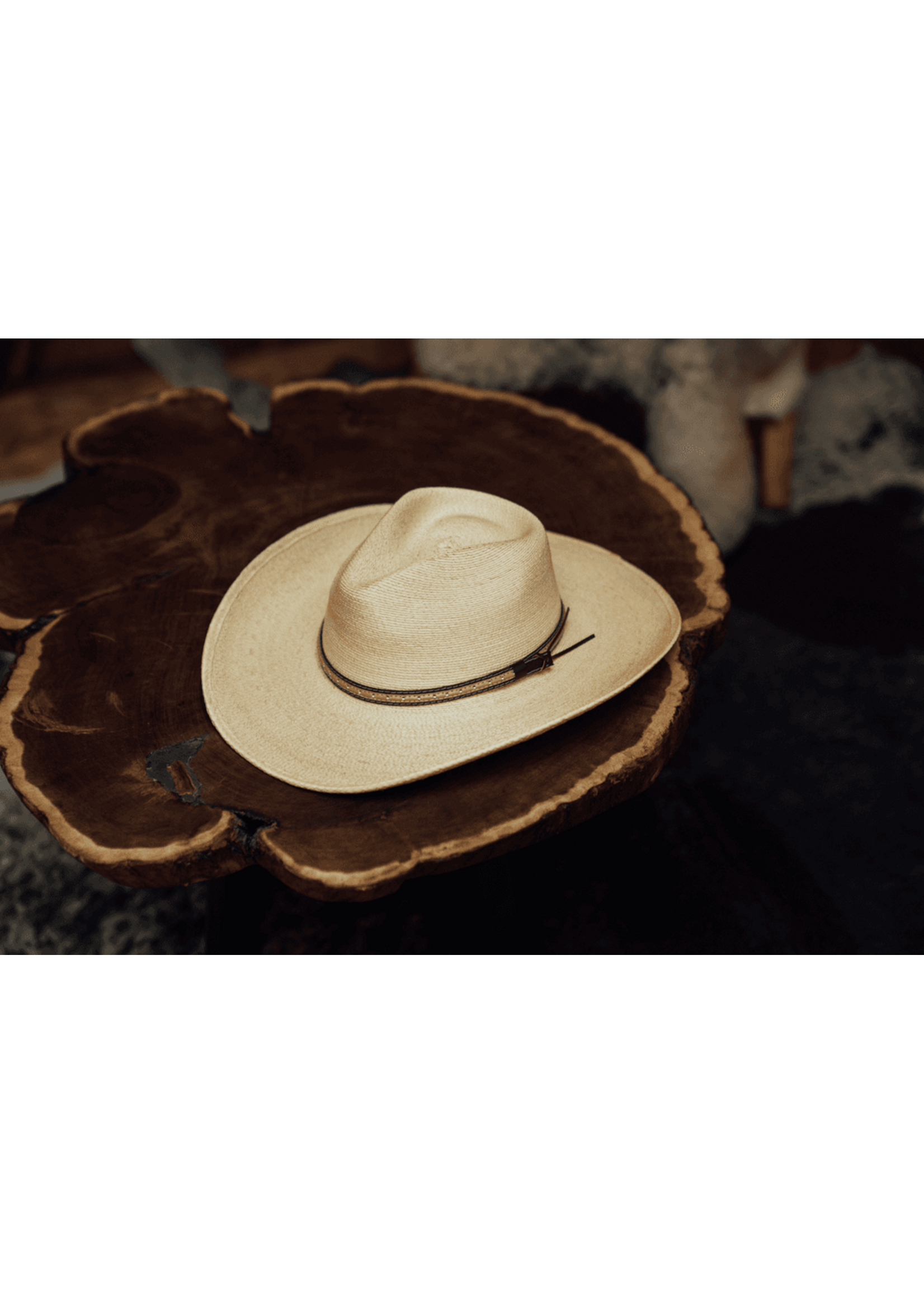 Stetson Stetson Sawmill straw hat