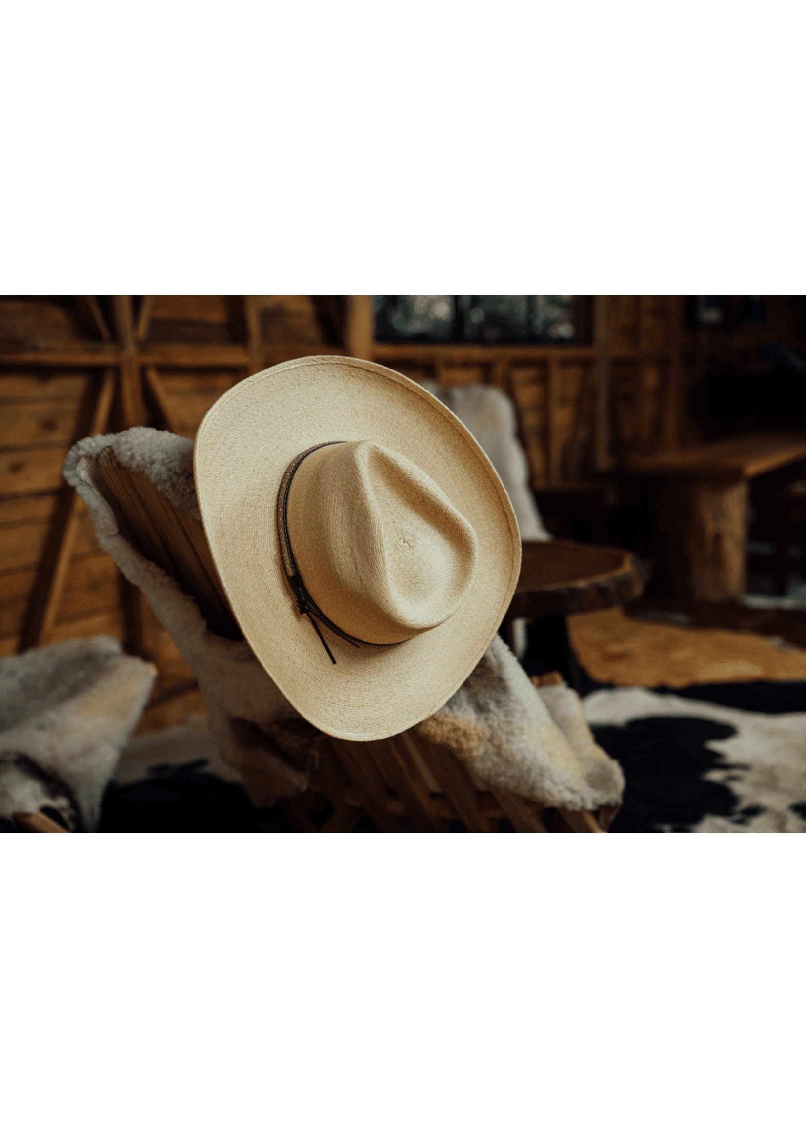 Stetson Stetson Sawmill straw hat