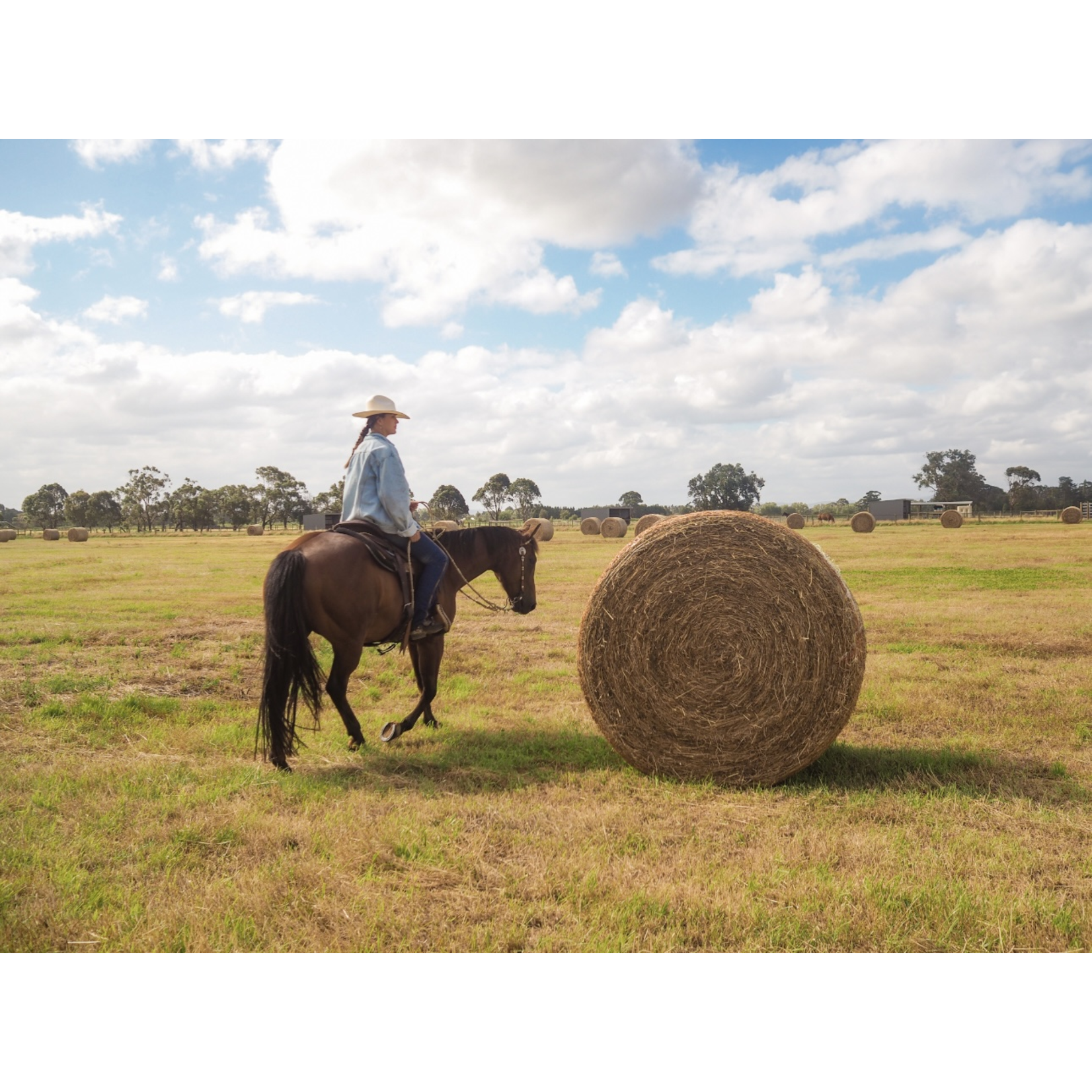 Stetson Stetson Oklahoma straw hat