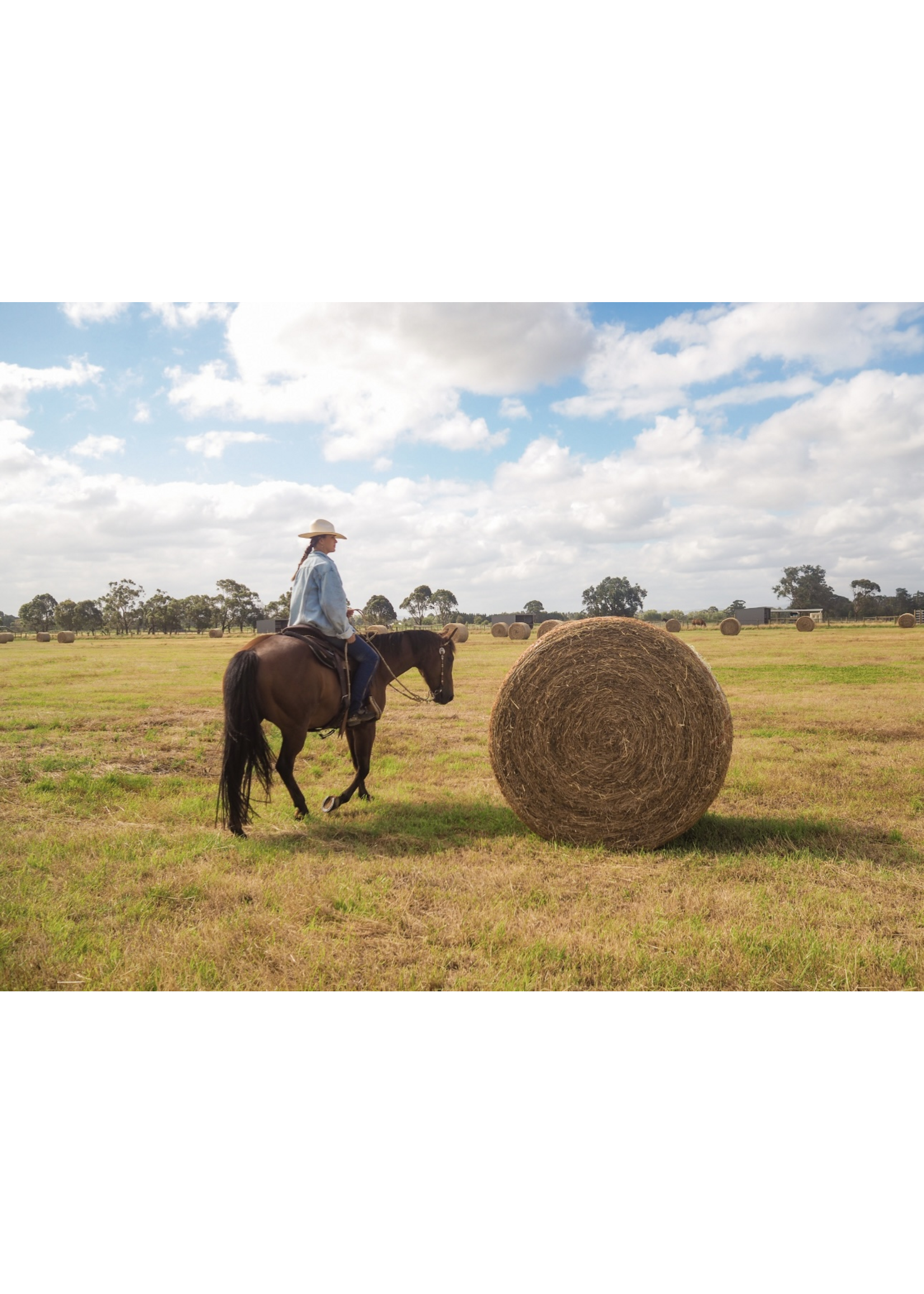 Stetson Stetson Oklahoma straw hat