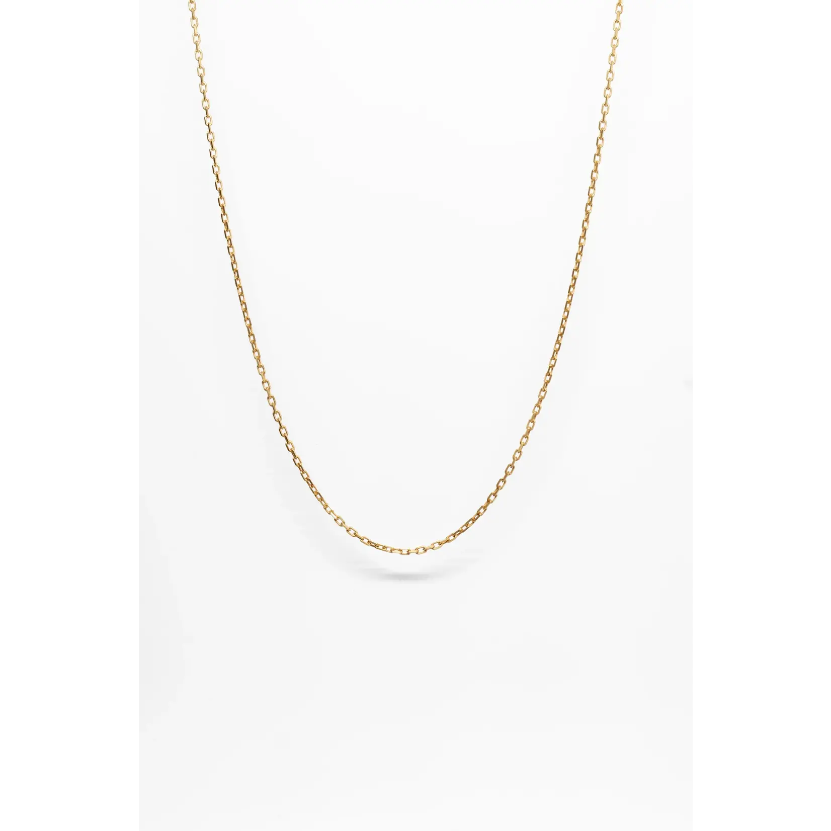 Merchants of the Sun Rolo Chain | Gold