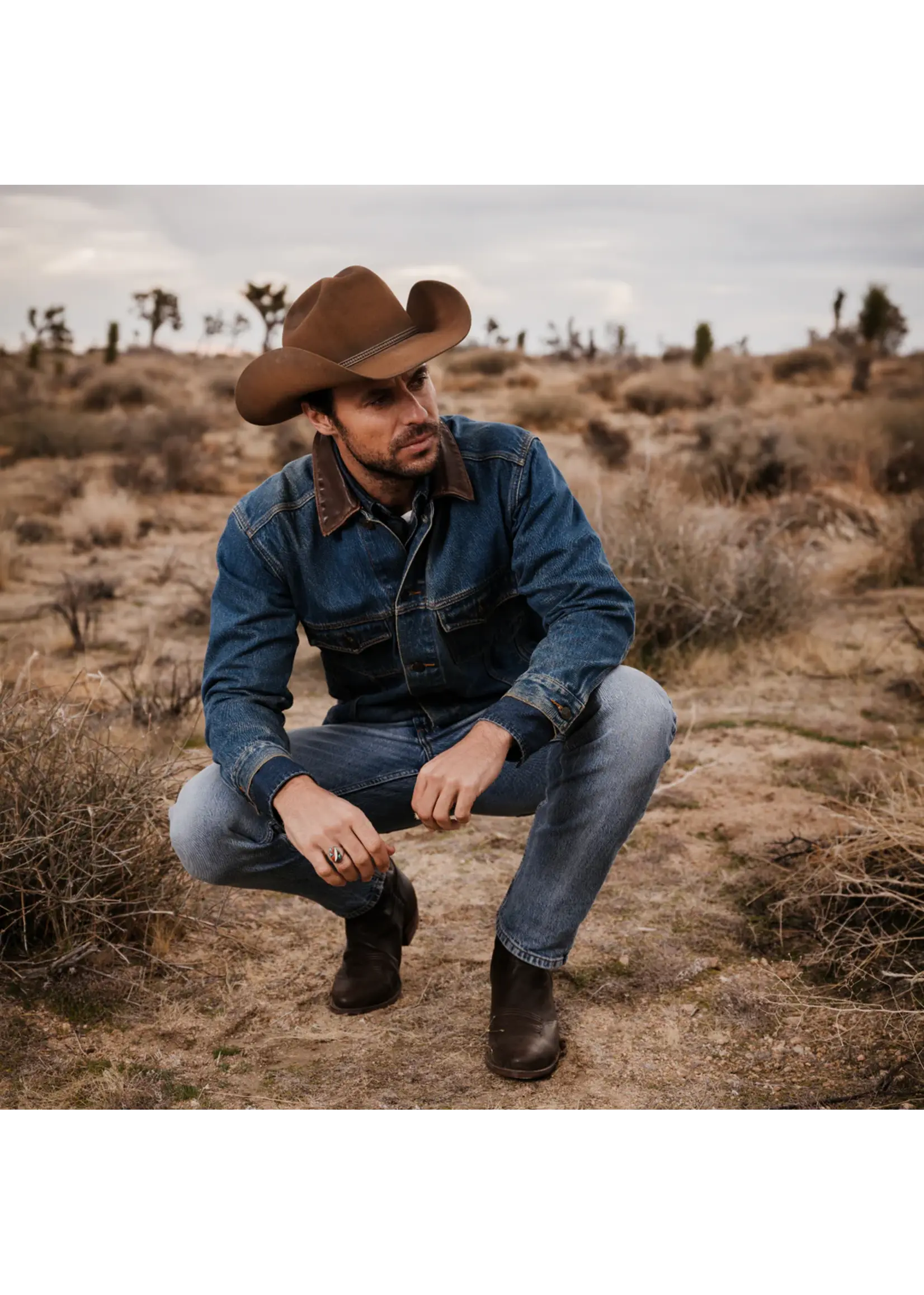 Stetson Boss of the plains