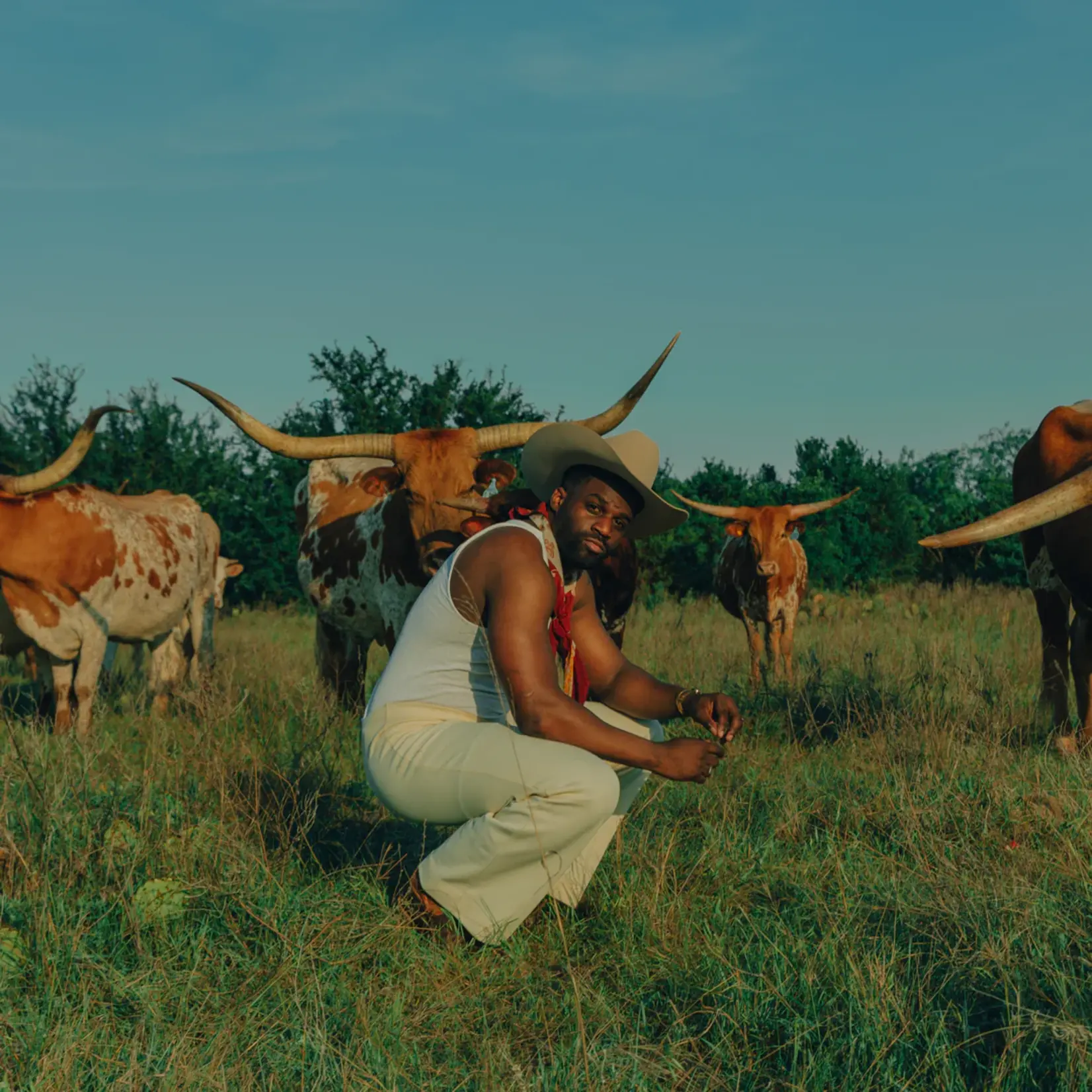 Stetson Stetson Skyline 6x