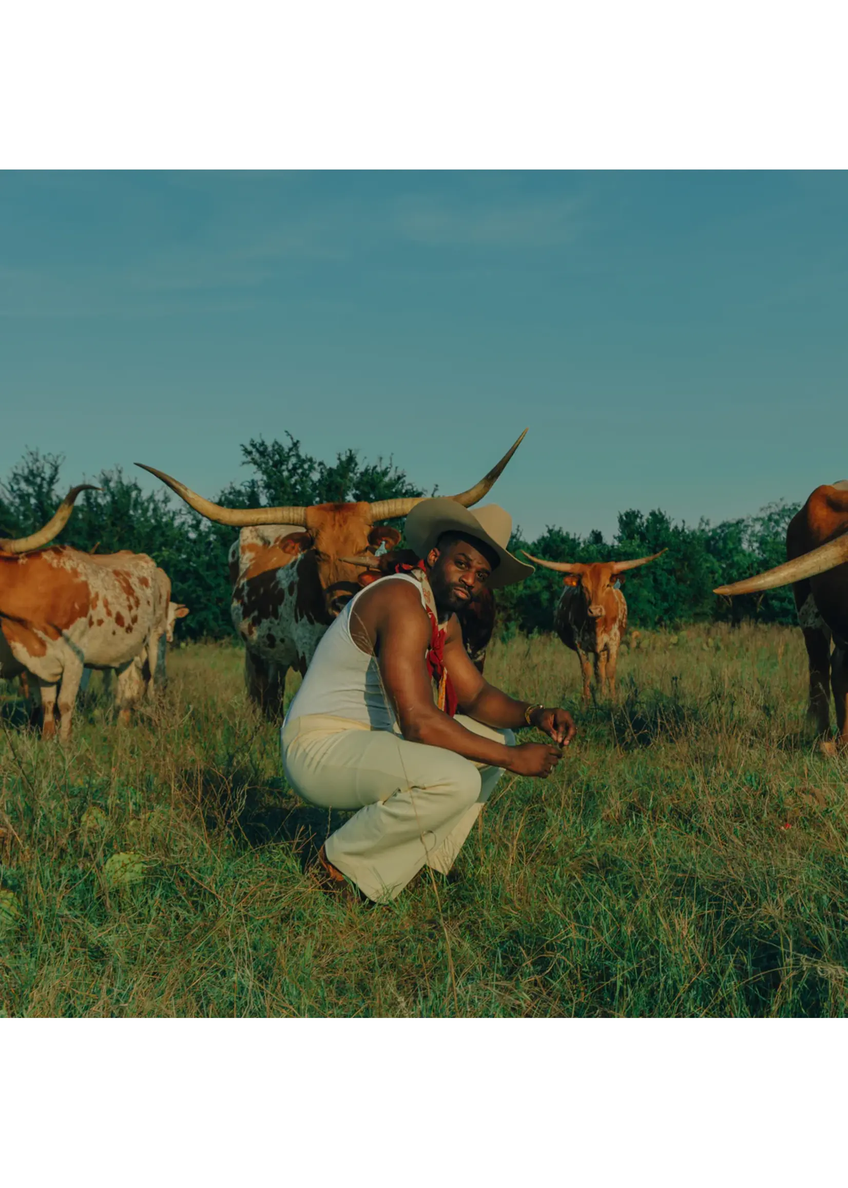 Stetson Stetson Skyline 6x