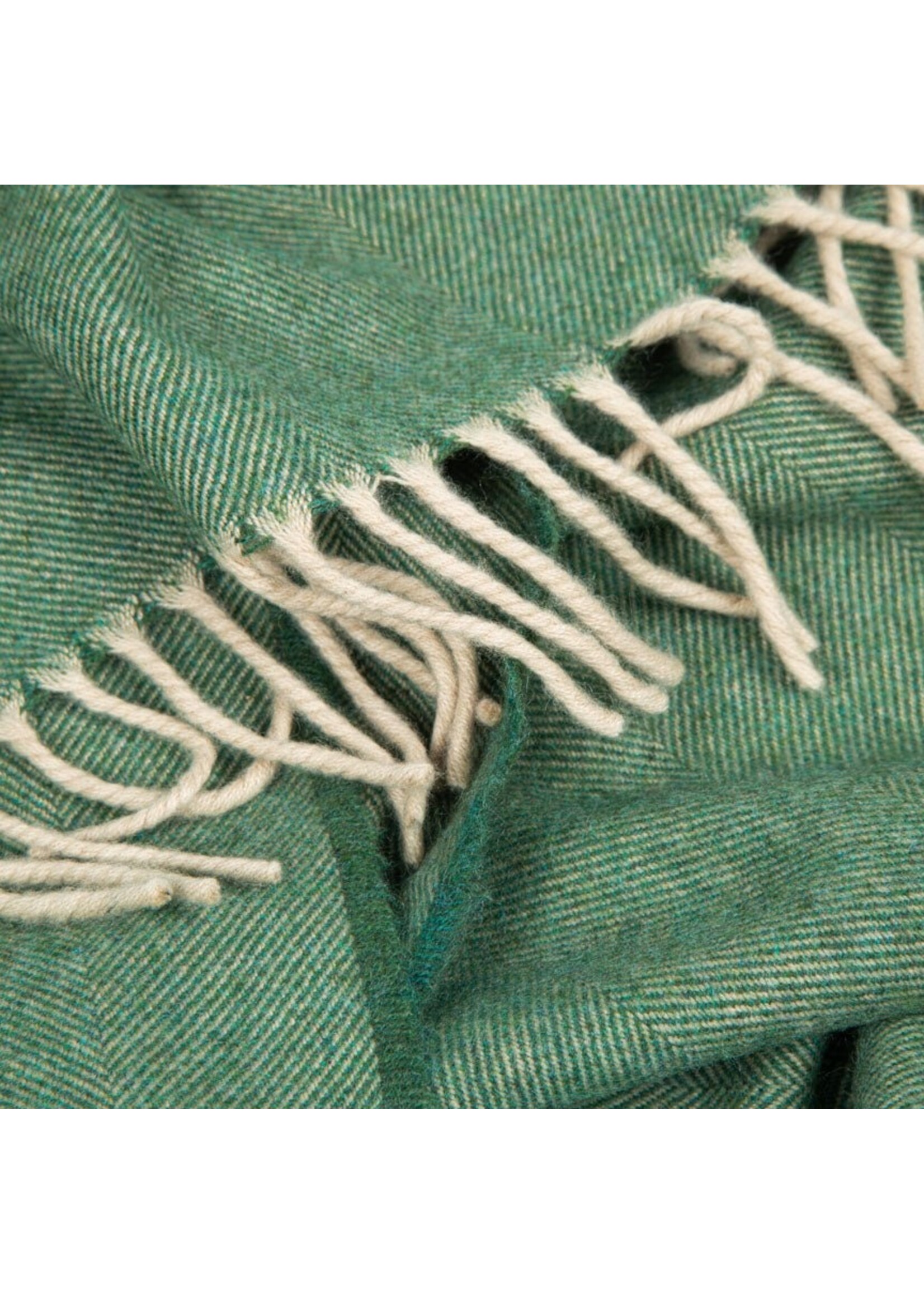 Heating & Plumbing London The Eternal Edition- 100% Cashmere Scarf