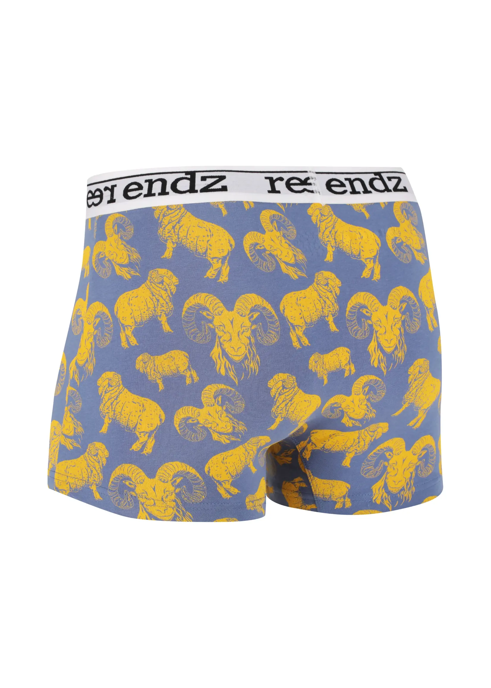 Reerendz Men's Trunk | Celestial Horns