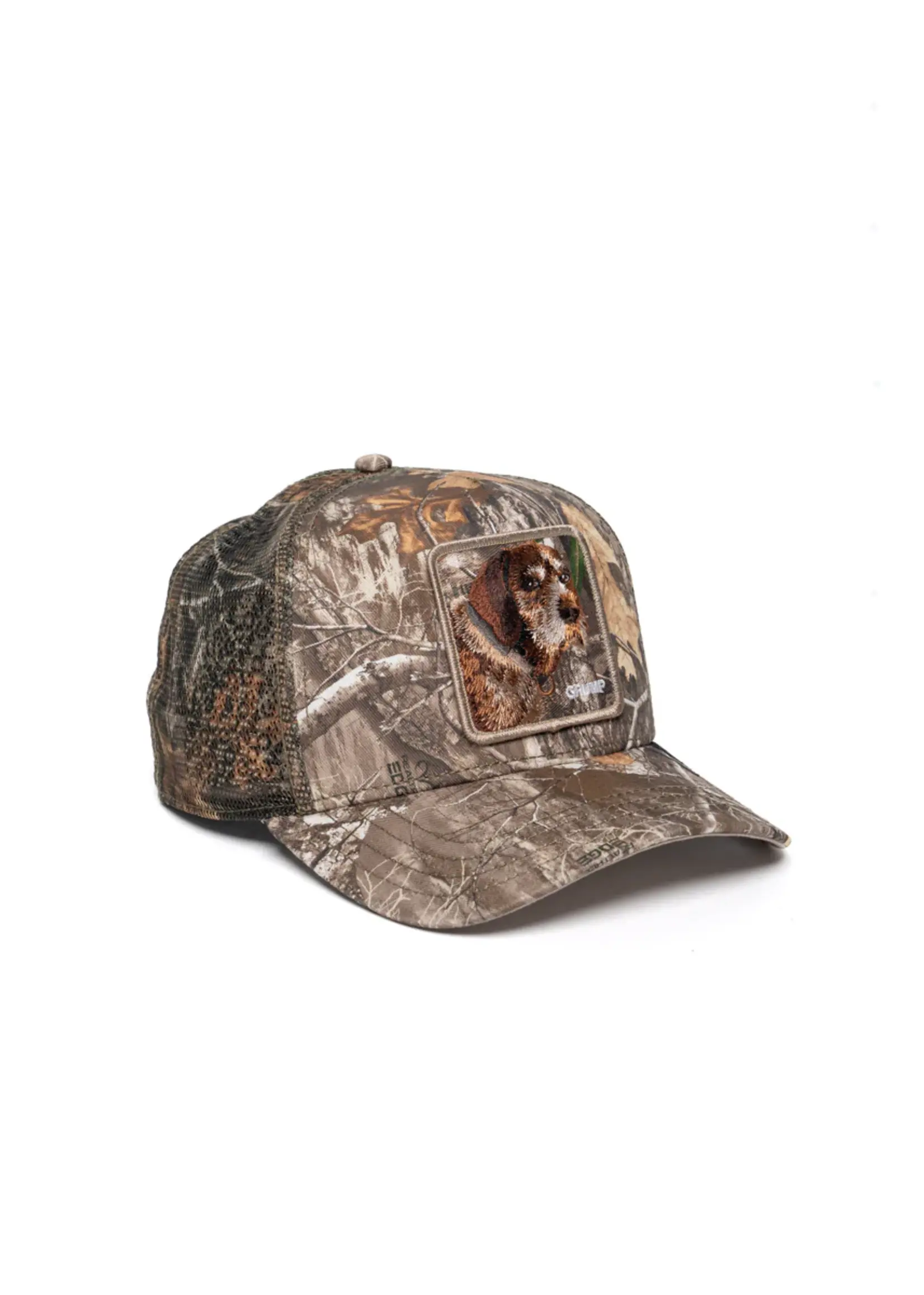 Realtree Edge Grump Dog