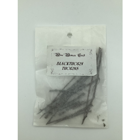 Blackthorn Thorns 10 Quantity