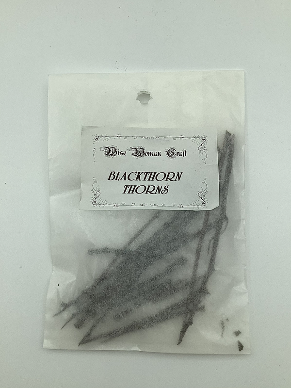 Blackthorn Thorns 10 Quantity