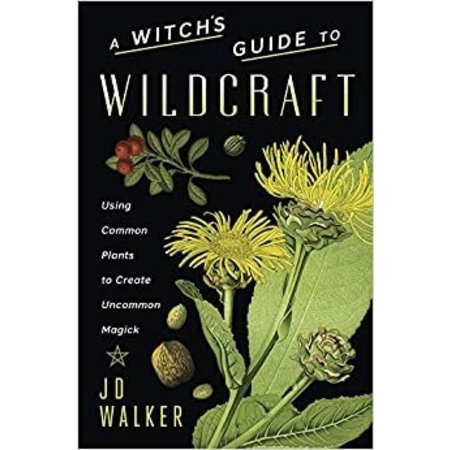 A Witch's Guide to Wildcraft: Using Common Plants to Create Uncommon Magick