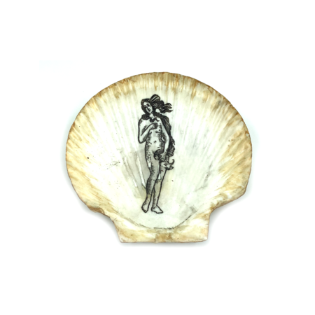 Large Aphrodite Shell with Stand and Pouch
