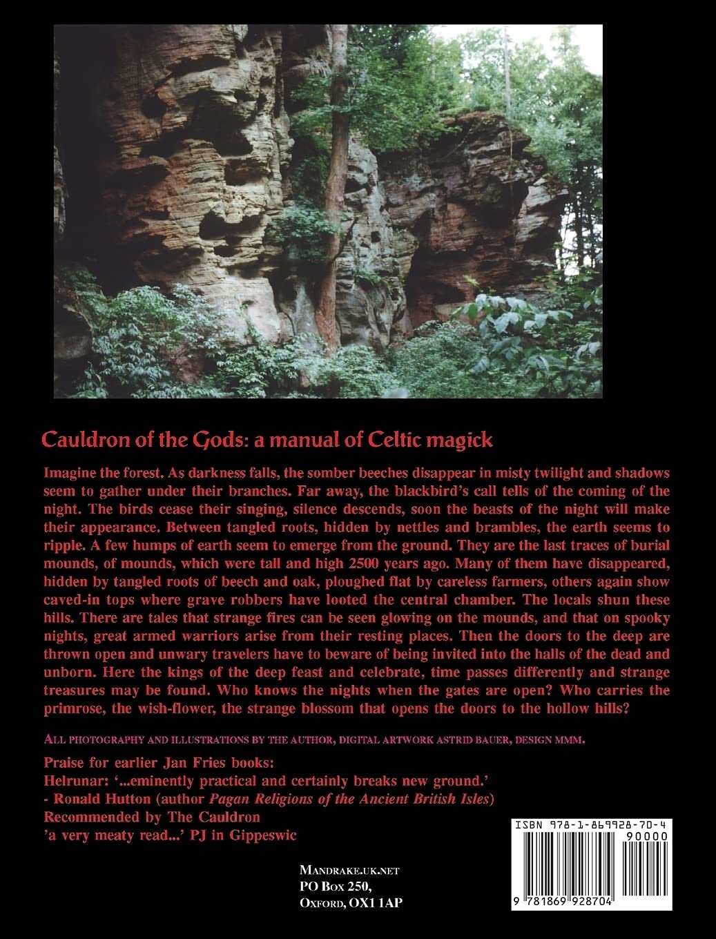 Cauldron of the Gods: A Manual of Celtic Magick