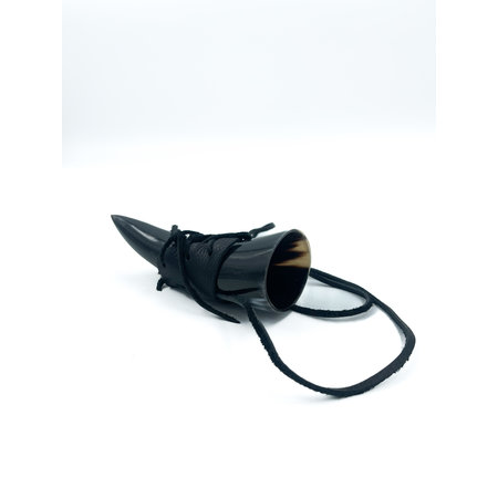 Ritual Horn on Leather Lanyards