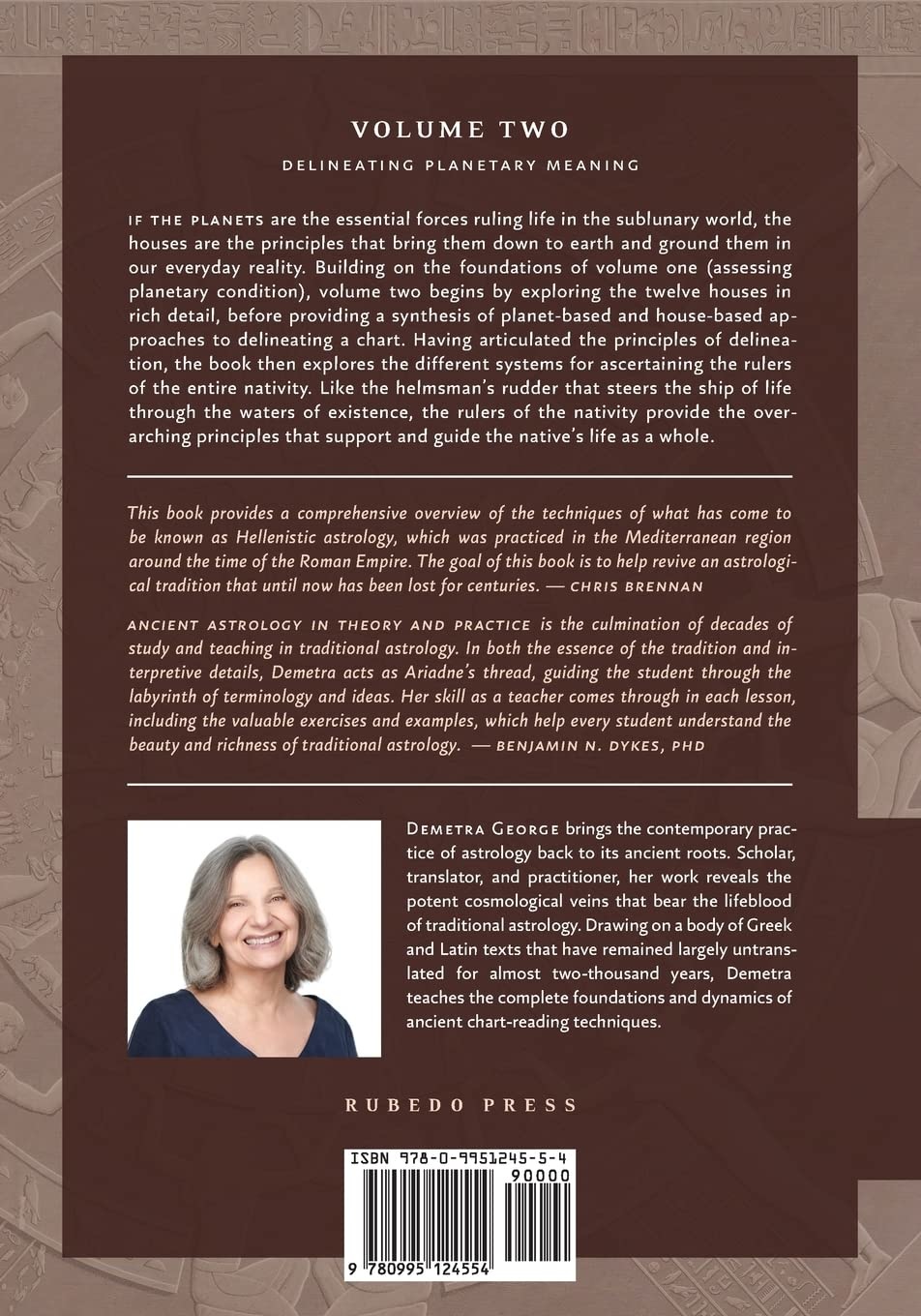 Ancient Astrology in Theory and Practice: A Manual of Traditional Techniques, Volume Two