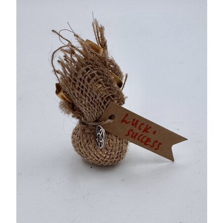 Spell Charms - Luck & Success