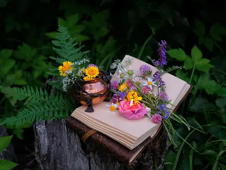 What Is the Poison Path? A Practitioner's Introduction to Baneful Herbalism