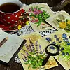 Working With Henbane, Belladonna & Datura: A Guide to the Classic Baneful Herbs