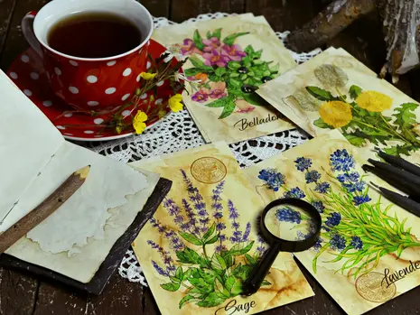 Working With Henbane, Belladonna & Datura: A Guide to the Classic Baneful Herbs