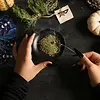 Flying Ointments in Witchcraft: History, Folklore & Traditional Use