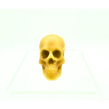 Natural Bees Wax Skull Candle