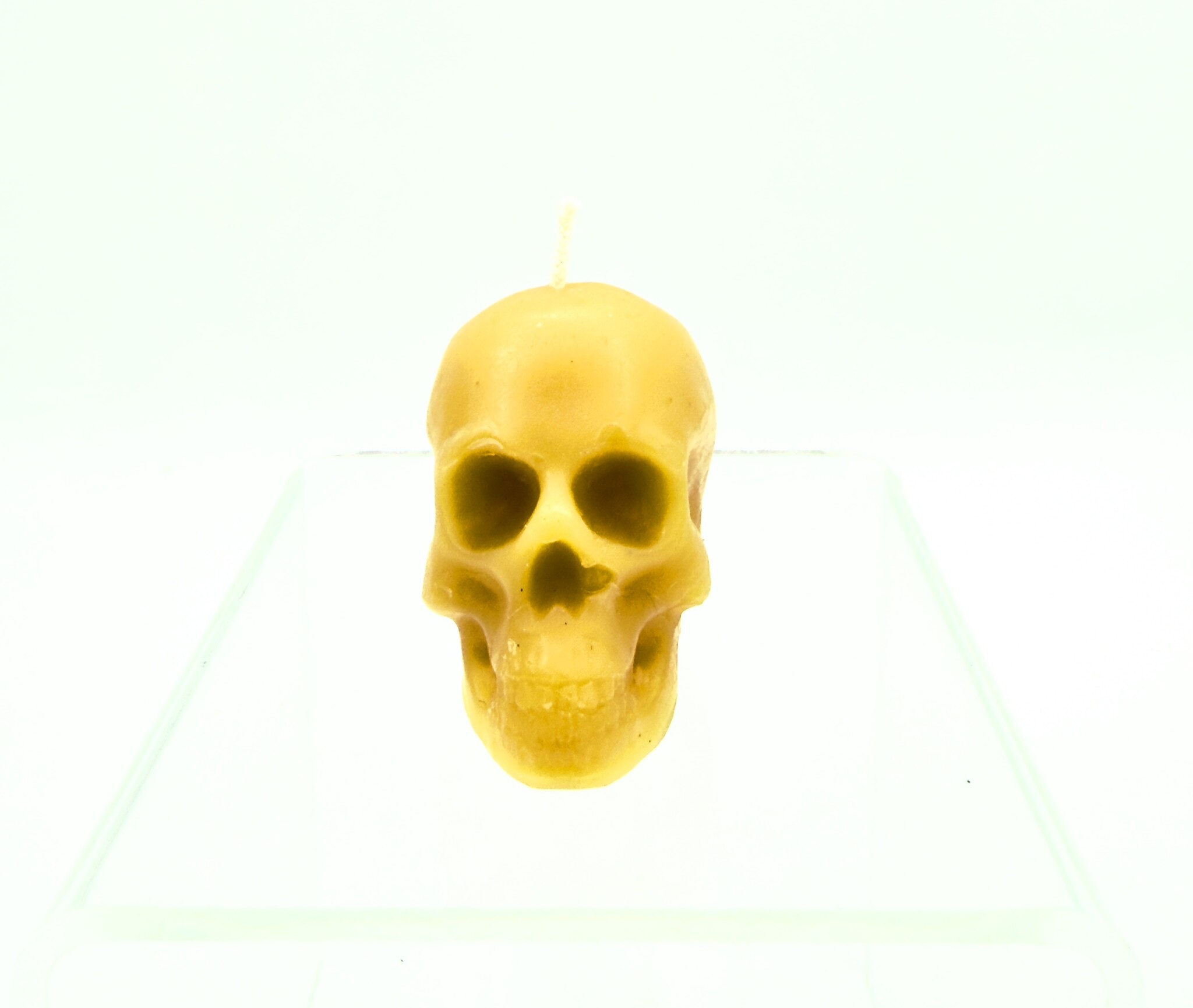 Natural Bees Wax Skull Candle