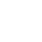 100% secure payment