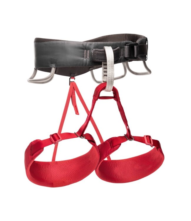 Black Diamond Momentum Harness Women's