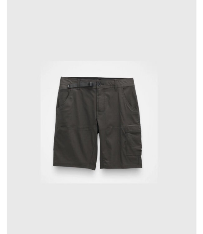 Stretch Zion Short II 12in