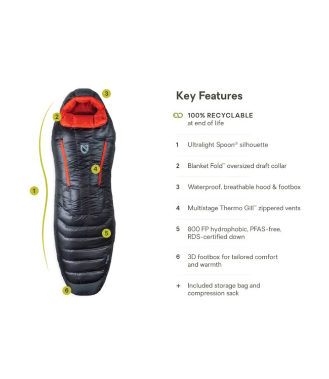 Riff 15 Endless Promise