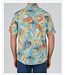 Large Kine SS WOVEN