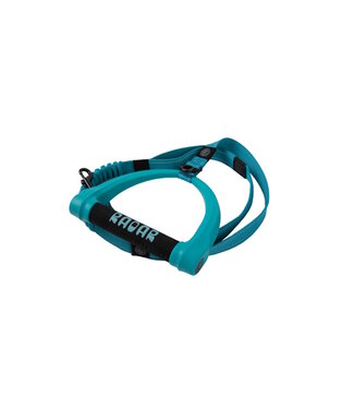 Radar 5ft Bungee Dog Leash - Blue