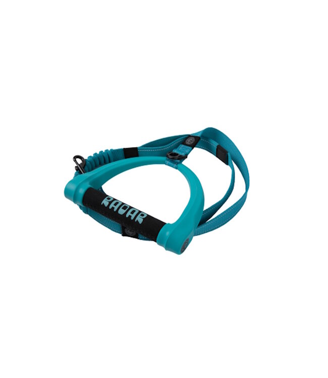 5ft Bungee Dog Leash - Blue