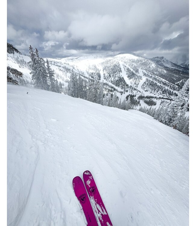 Sender Free 100 Open