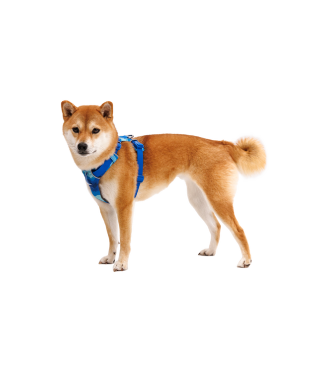 Front Range  Harness