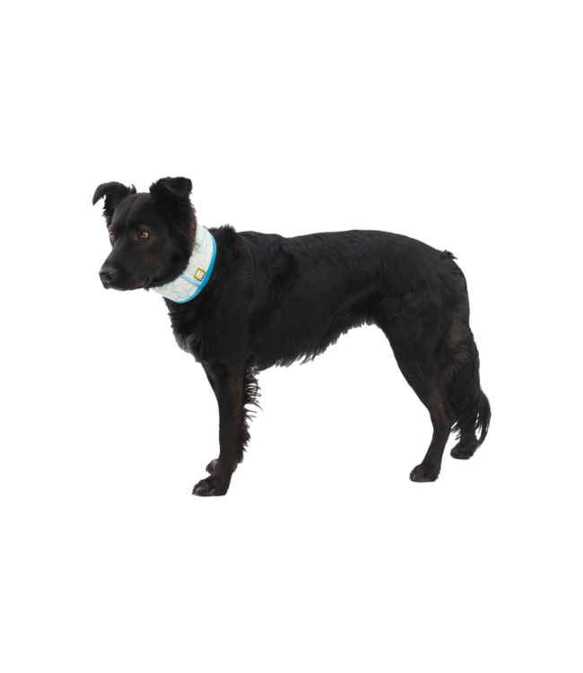 Swamp Cooler Neck Gaiter