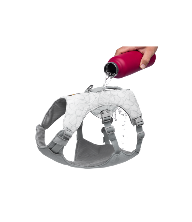 Swamp Cooler Dog Harness