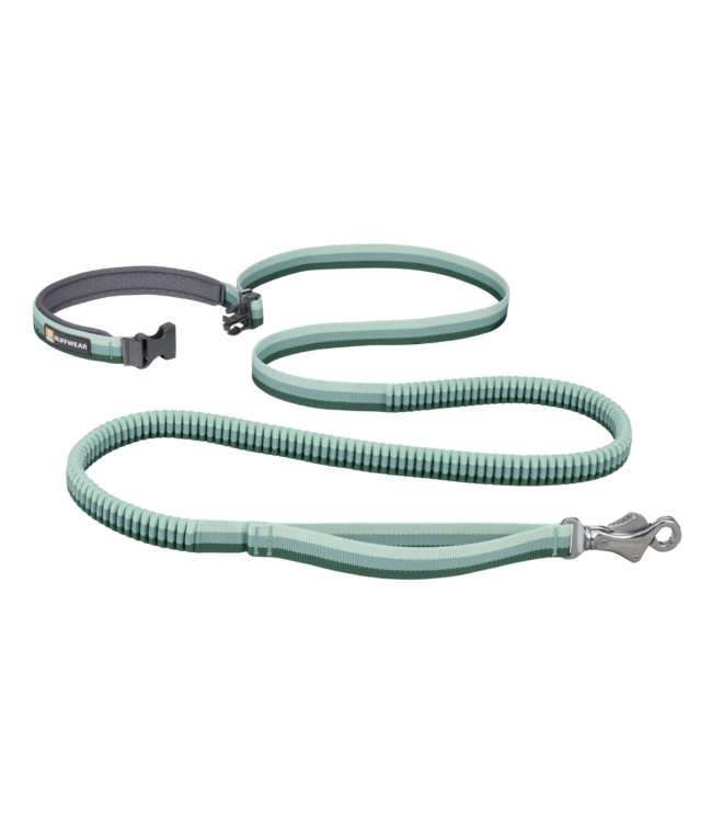ROAMER LEASH
