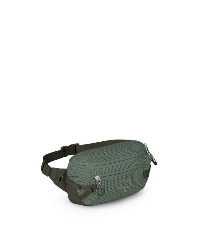 Transporter Waist Pack