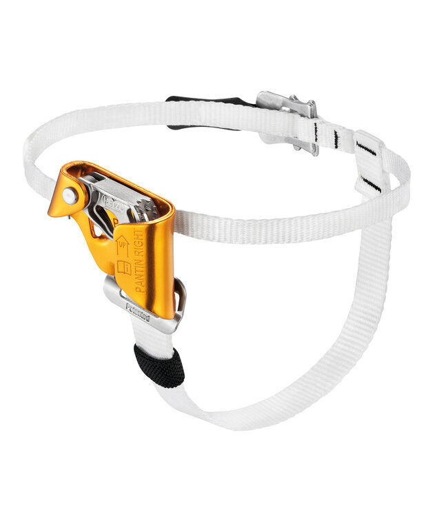 PANTIN FOOT ASCANDER