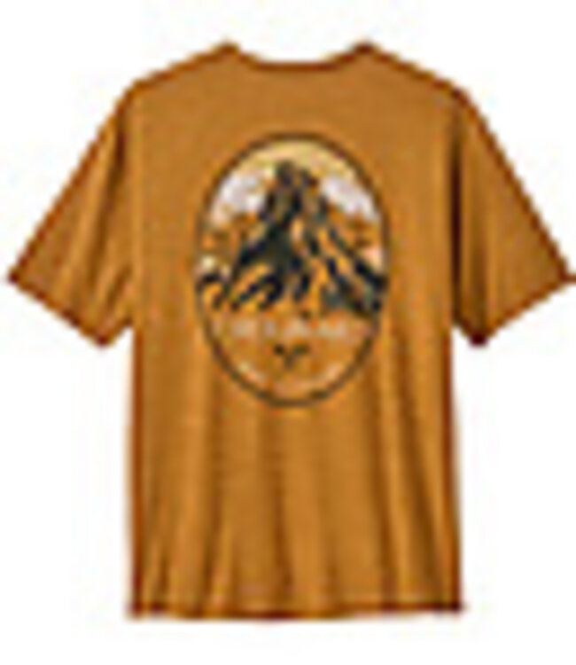 Cap Cool Daily Graphic Shirt - Lands Men