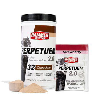 PERPETUEM 2.0 SINGLE