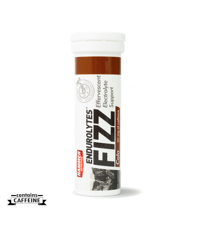 Endurolyte Fizz