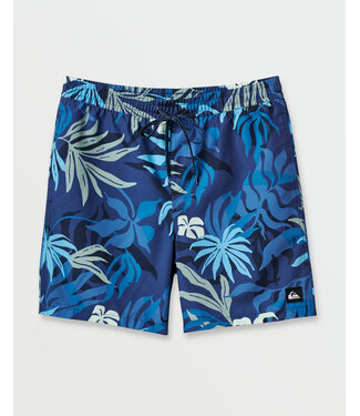 Quiksilver Everyday Mix 17" Swim Trunks