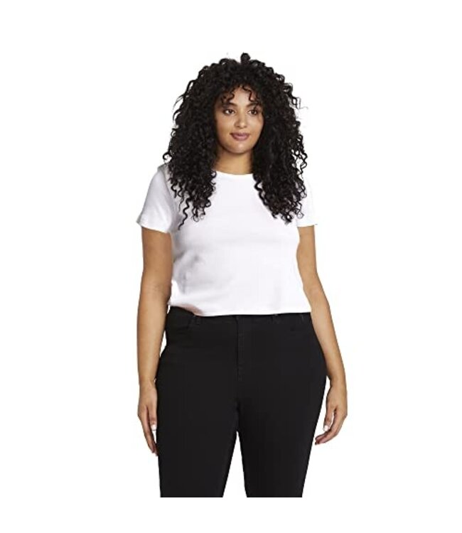 ONE OF EACH TEE PLUS SIZE