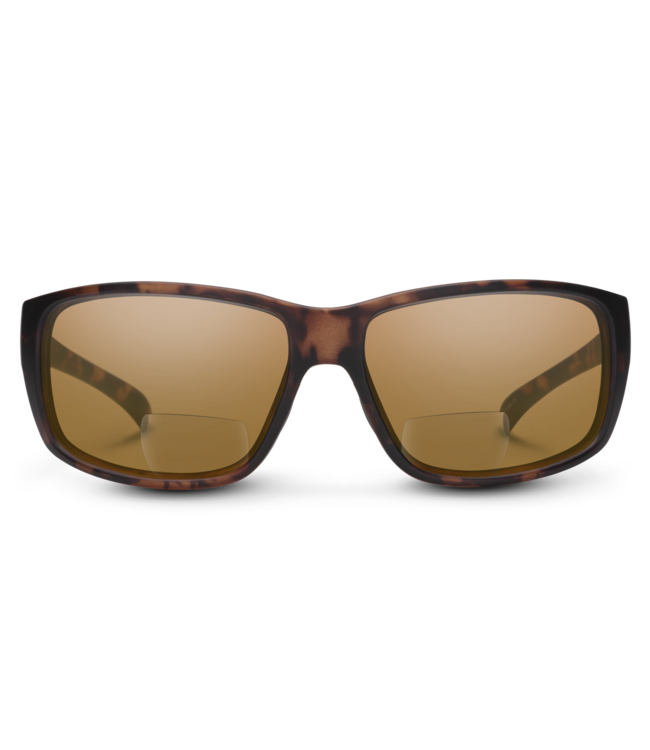 MILESTONE Reader 2.50