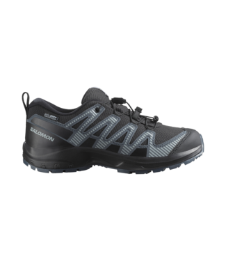 Salomon XA Pro V8 WP