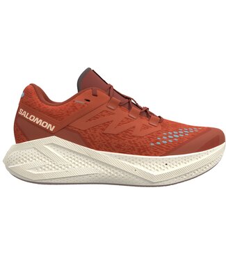 Salomon Aero Glide 3 GRVL