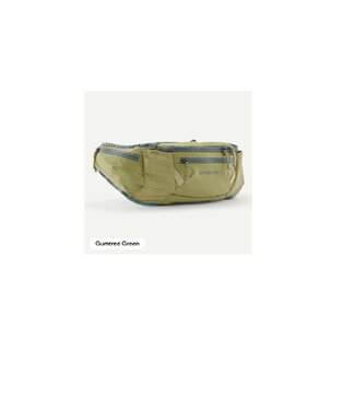 Patagonia Dirt Roamer Waist Pack