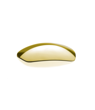 Smith PARALLEL MAX 2 Replacement Len