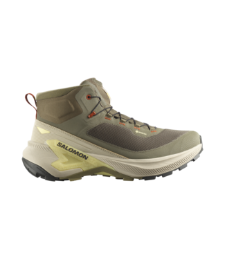 Salomon Genesis Mid GTX